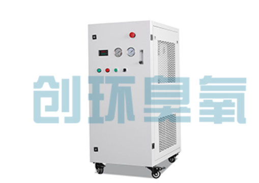 临高石斑鱼养殖水质调控完整指南：臭氧发生器配置与操作步骤