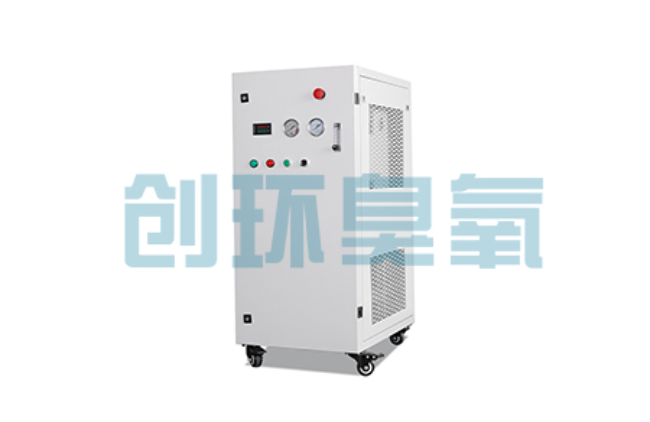 临高比传统换水更高效？臭氧发生器在石斑鱼养殖中的水质净化原理解析